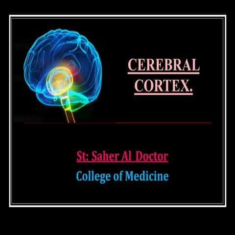 cerebral cortex st Saher Al_doctor