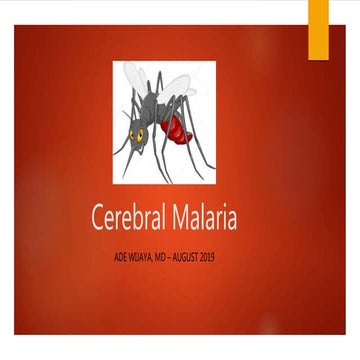Cerebral Malaria 