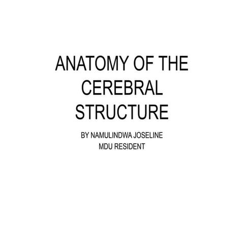 CEREBRAL_STRUCTURE_MAIN.power points for master students