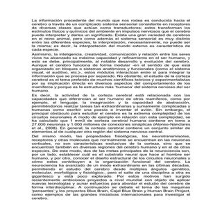 El cerebro humano: una perspectiva ...