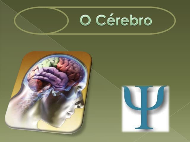 Cerebro 