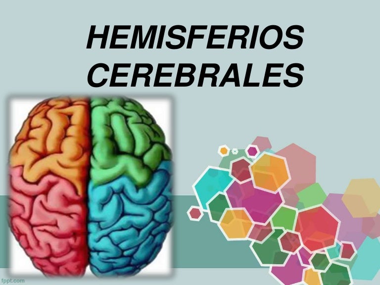Hemisferios Y Lóbulos Cerebrales