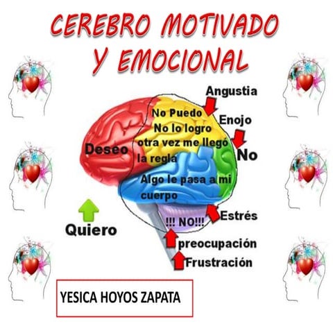 Cerebro emocional | PPT