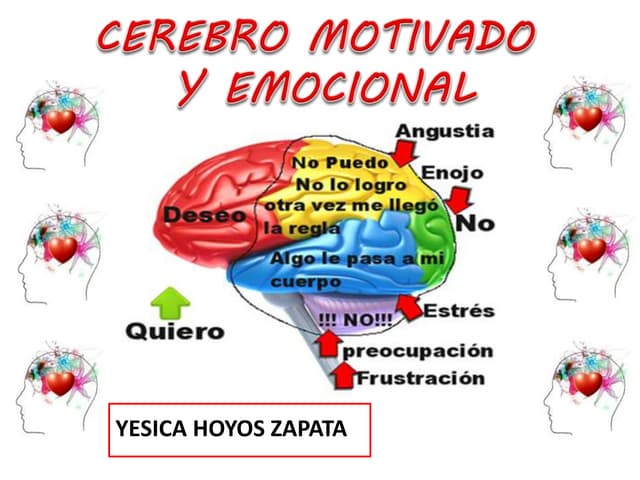 Cerebro emocional | PPT