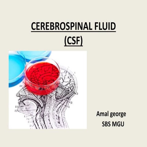 Cerebrospinal fluid