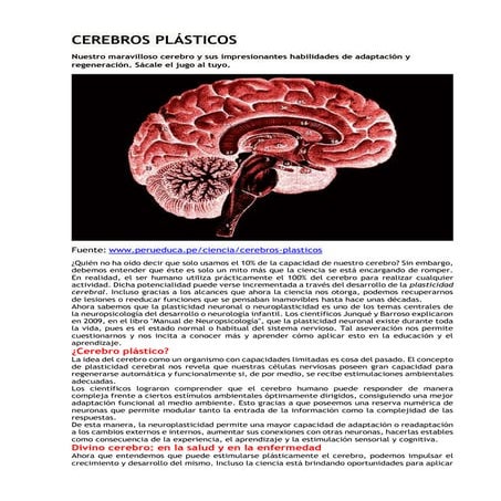 Cerebros plásticos