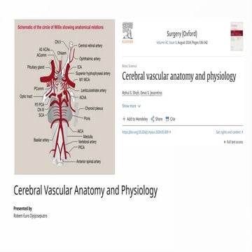 Anatomy of the Cerebrovascular System in | PPTX