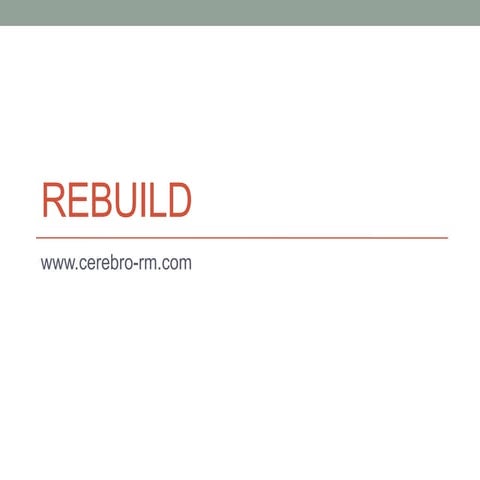 Cerebro work process