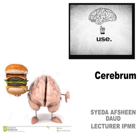 CEREBRUM-2.pptx