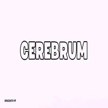 Cerebrum, anatomy , brain, sulci and gyri