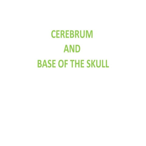 CEREBRUM-SUMMARY_1.pptx