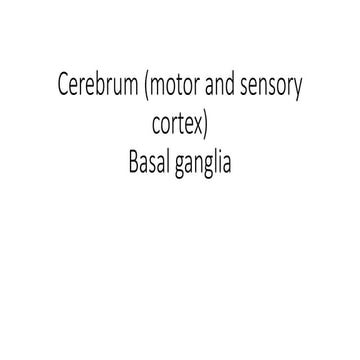 Cerebrum (motor and sensory cortex) + basal ganglia.pptx