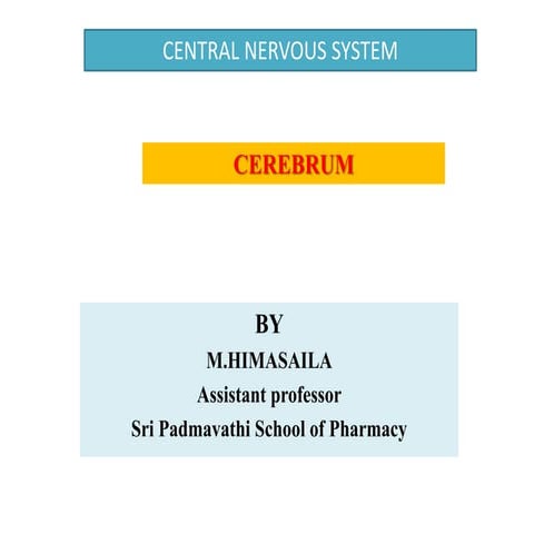Cerebrum ppt