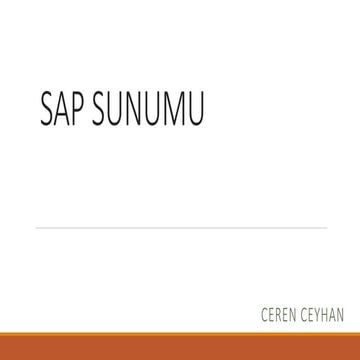 Ceren ceyhan 130908067 sap sunumu