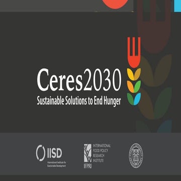 Ceres2030 Sustainable solutions to end hunger
