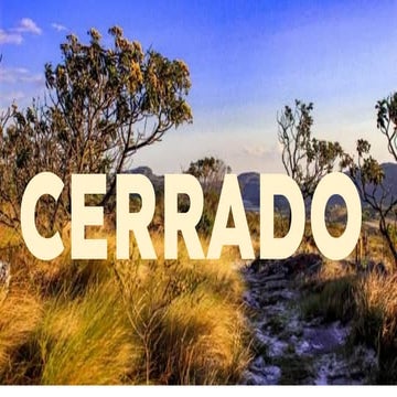 CERRADO BRASILEIRO UM ESTUDO SIMPLES.pdf