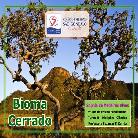 Bioma Cerrado - Sophia Medeiros | PDF