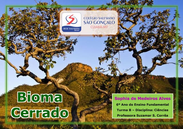 Bioma Cerrado - Sophia Medeiros | PDF