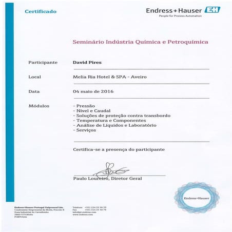 Certificado de Seminário sobre "lndustria Quimica e Petroquimica" ENDRESS+HAUSER