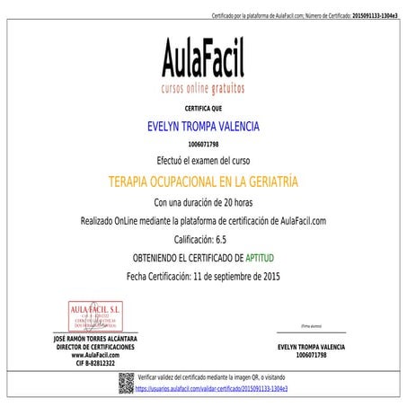 Certificado Terapia ocupacional