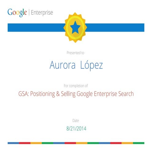 Certificate of Google Partner University - Google Enterprise training for Partners