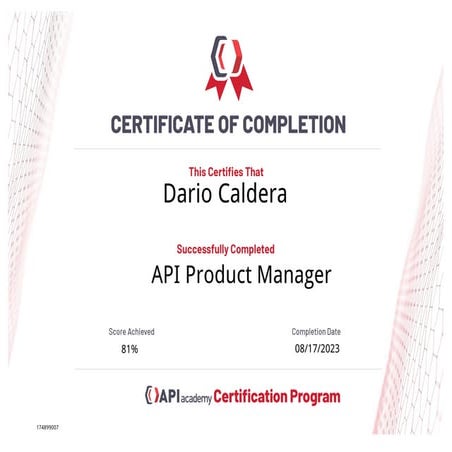 API Product Manager PDF