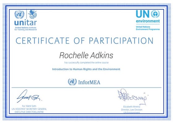 Humanitarian needs assessment training | PDF