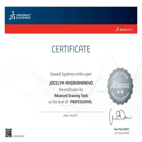 SOLIDWORKS Professional Advanced Drawing Tools (CSWPA-DT) certificate | PDF