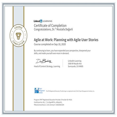 Dr. Mustafa Degerli - 2020 - Agile at Work - Planning with Agile User Stories