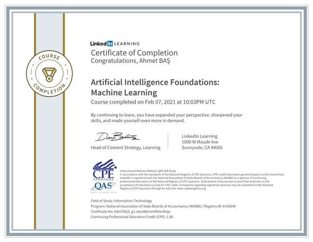 Artificial Intelligence Foundations: Machine Learning