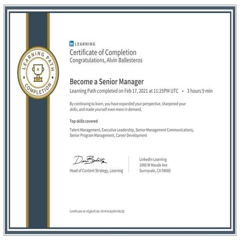 Certificate of Completion Become a Senior Manager | PDF