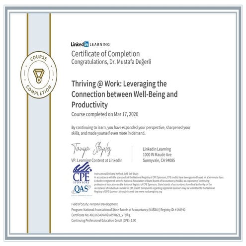 Dr. Mustafa Degerli - 2020 - Thriving Work Leveraging The Connection Between ...