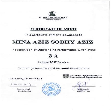 Certificate of Merit AS Level