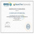 certificate_understanding_behavior_burnout_and_depression.pdf