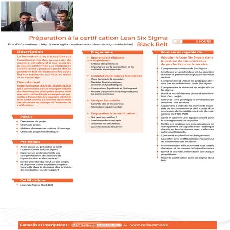 Certification black belt lean six sigma black belt | PDF