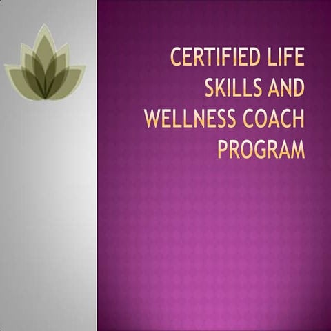 Certified life skills and wellness coach program