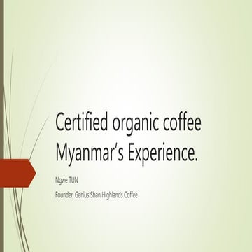 Certified Organic Coffee & Myanmar's Experience