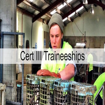 Cert iii traineeships