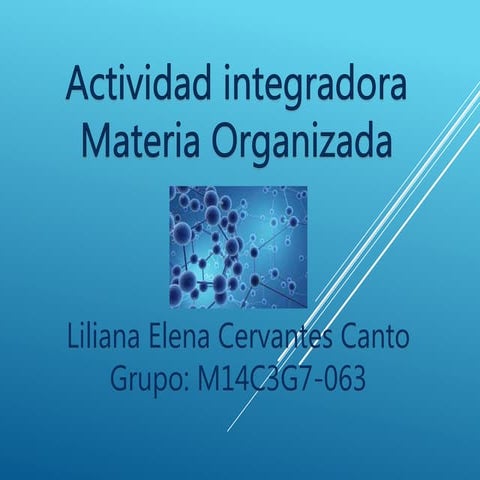 Cervantes canto lilianaelena_m14s1_materia organizada