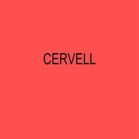 Cervell | PPT