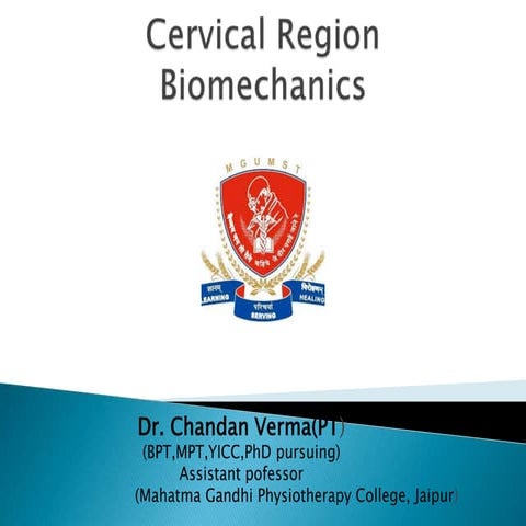 Cervical region biomechanics