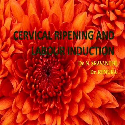 Cervical ripening and labour induction