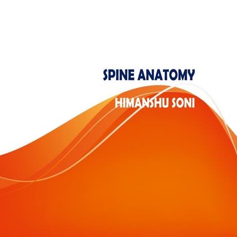 Cervical spine anatomy