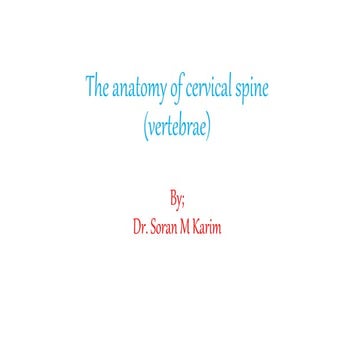 Cervical spine anatomy.pptx
