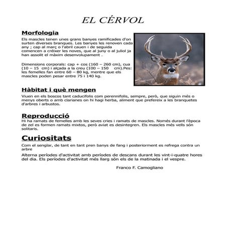 Cervol | PPTX