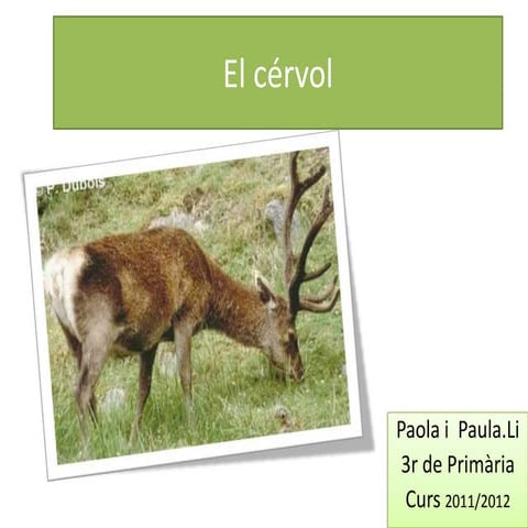 Cervol | PPTX