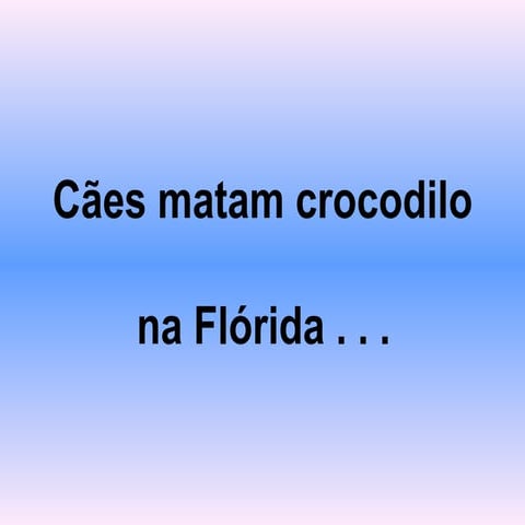 cães vs crocodilo