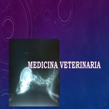 MEDICINA VETERINARIA