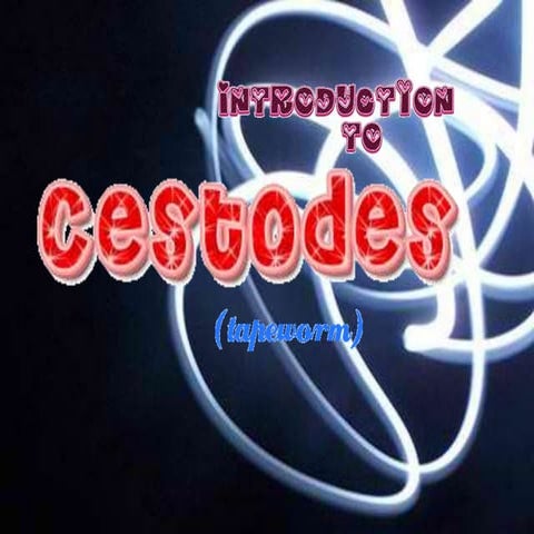 Cestodes