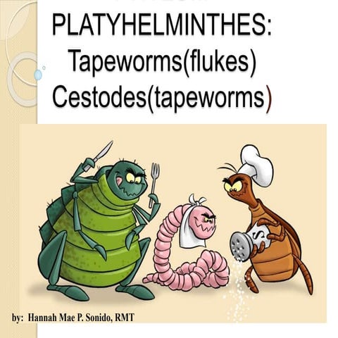 Cestodes and trematodes